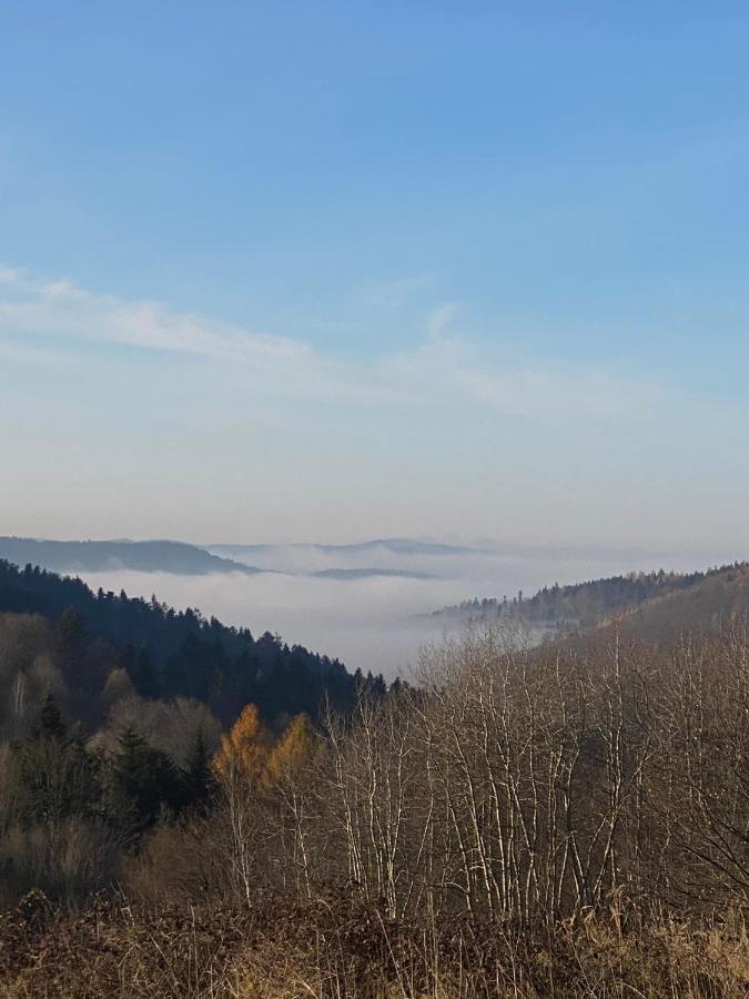 Zielone Zarabie Residence Myślenice Eksteriør bilde